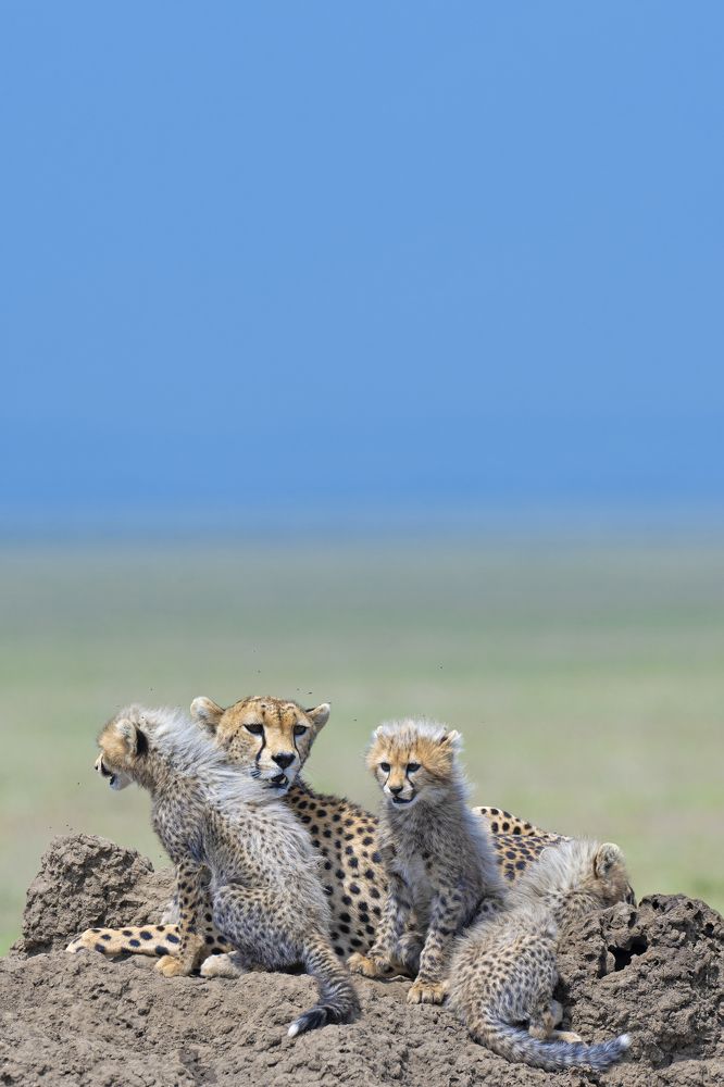 Photograph by Dilip Shah