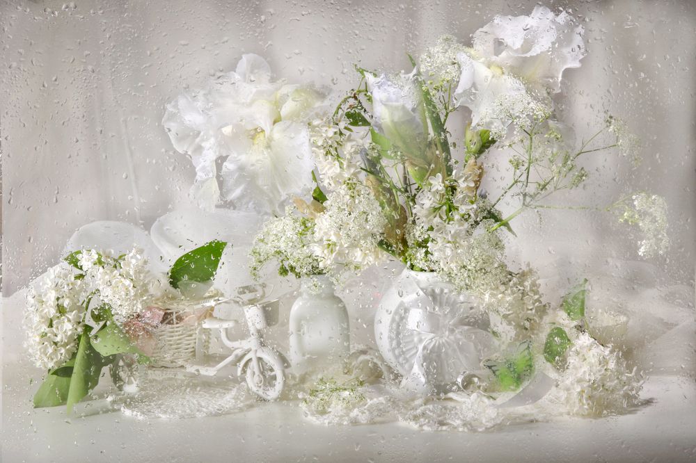 Photograph by Шруб (Беляева) Татьяна