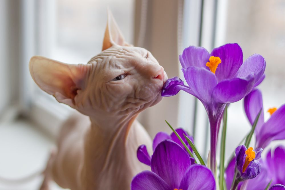 Photograph by Дина Горбачёва