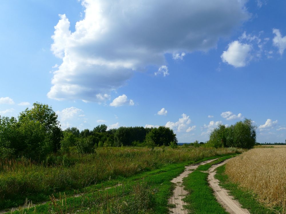 Photograph by Александр Кизим