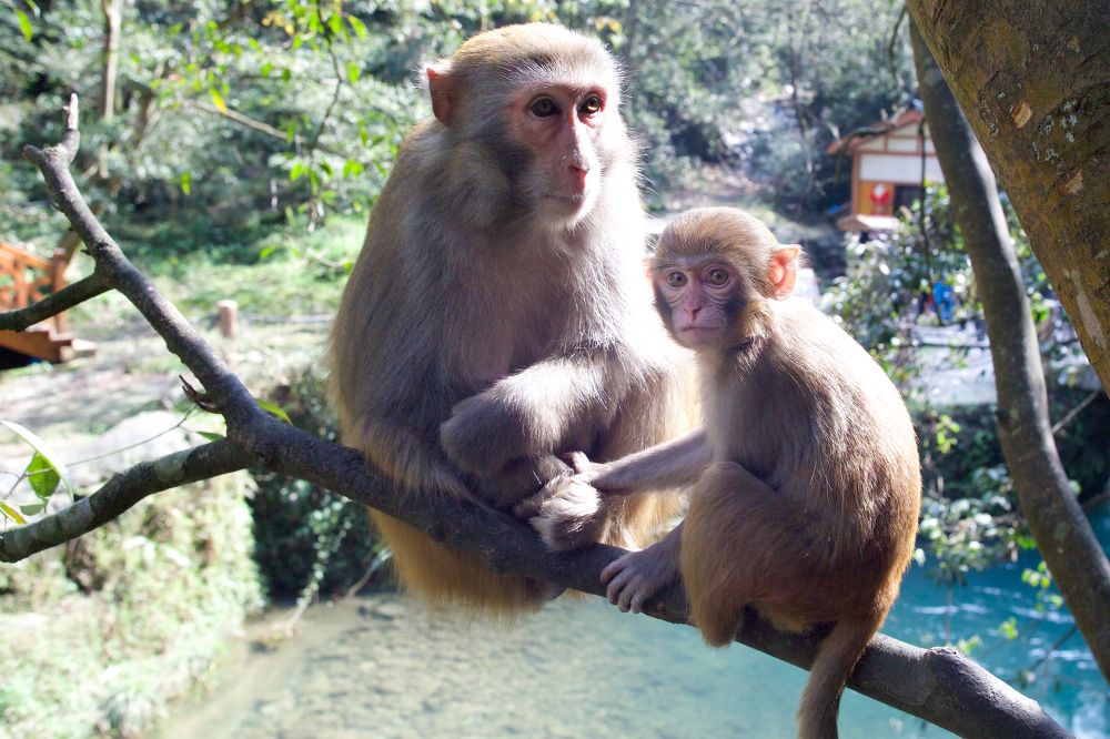 Photograph by Илья Ушак