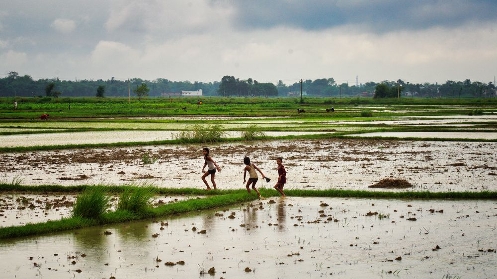 Photograph by Manjri Saxena