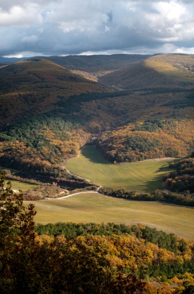 Photograph by Tatiana Teit Ash