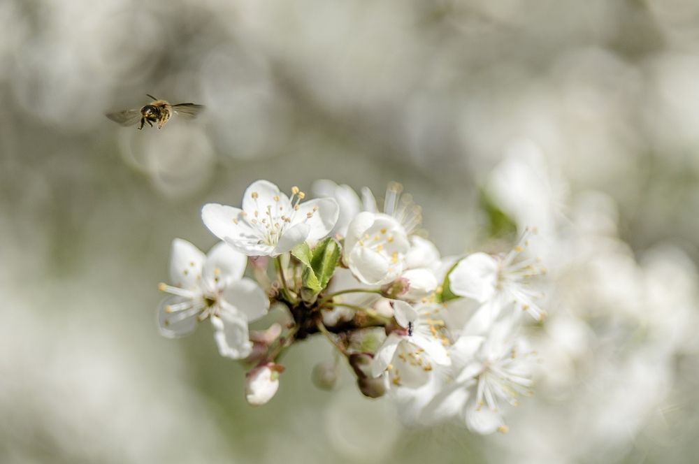 Photograph by Анастасия