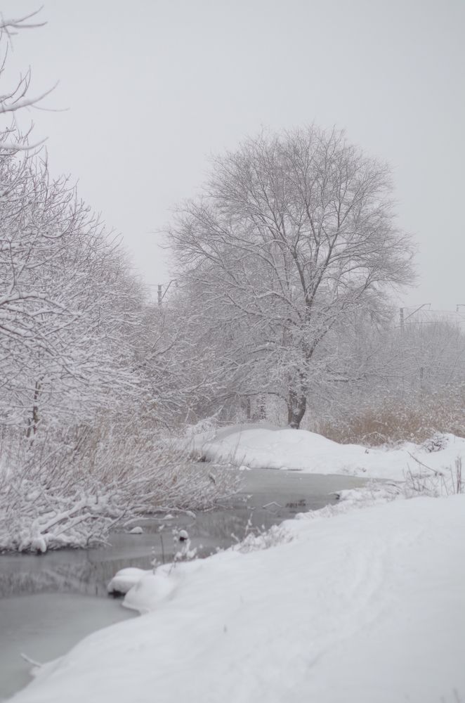 Кубанская зима