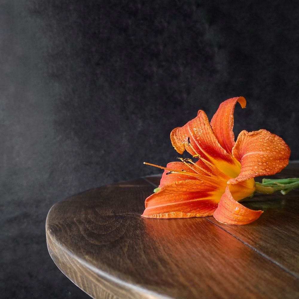 Photograph by Рина Хуртова