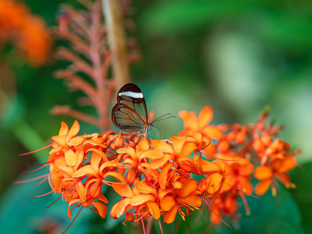 Photograph by Михаил