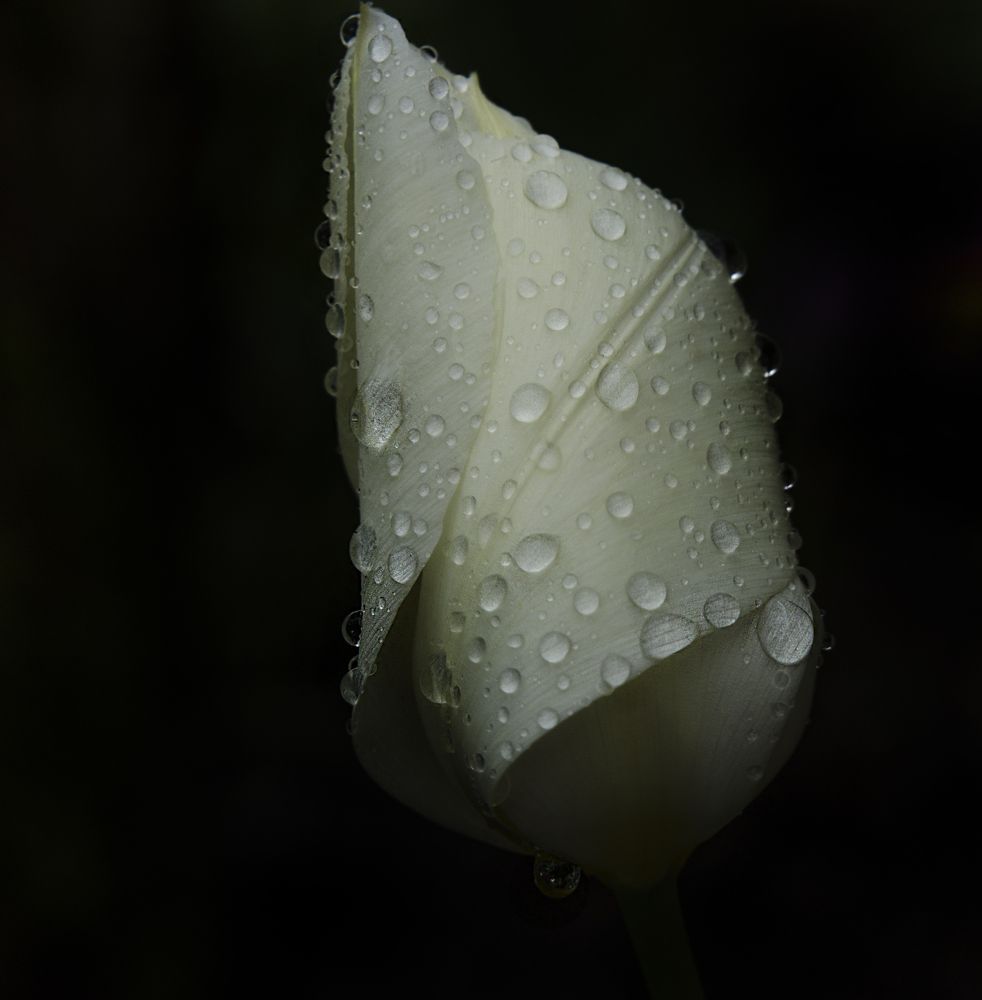 Photograph by Андрей Емельянов