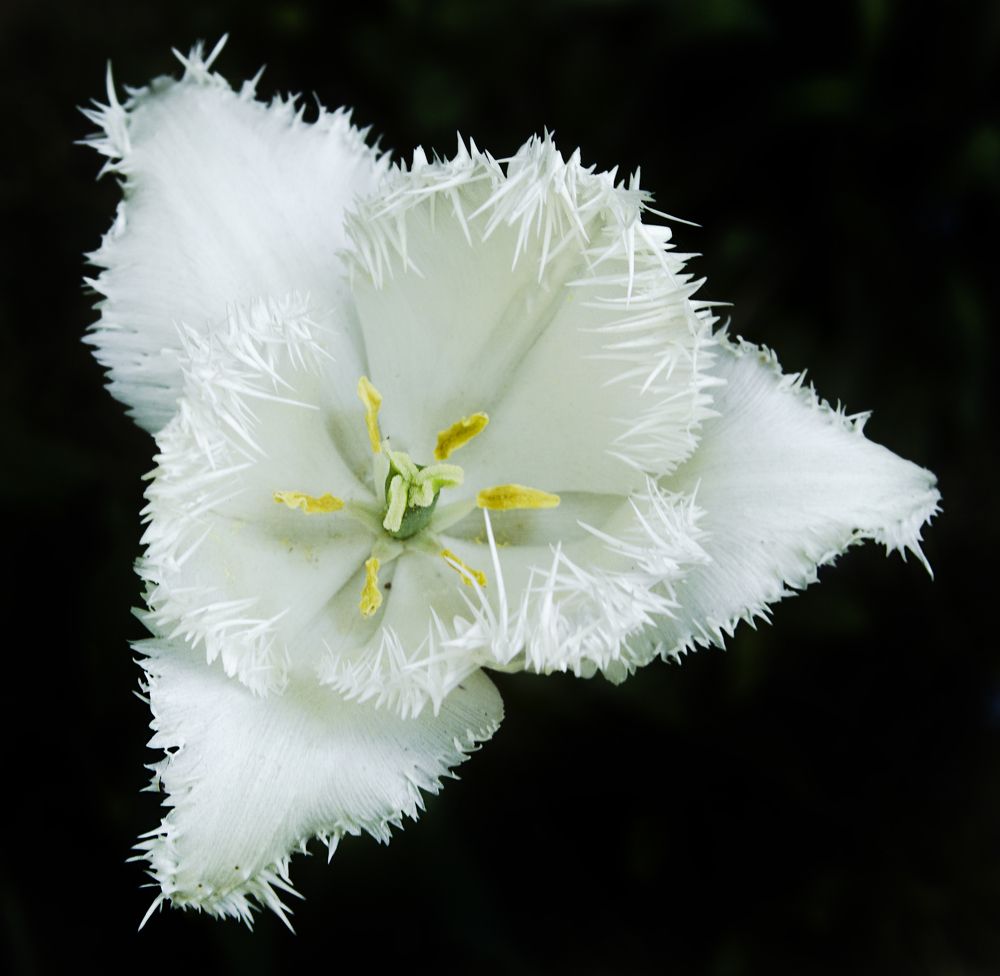 Photograph by Андрей Емельянов