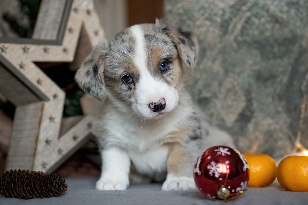 Photograph by Марина Виноградова