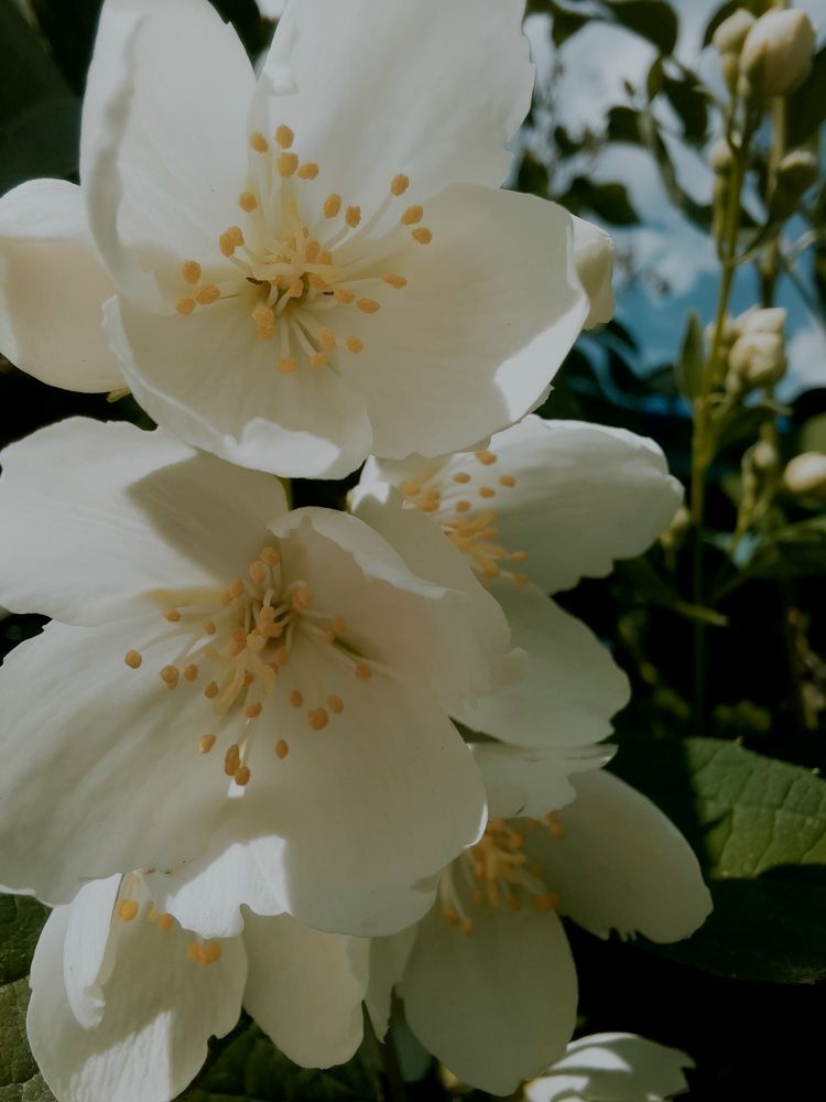 Photograph by Ольга