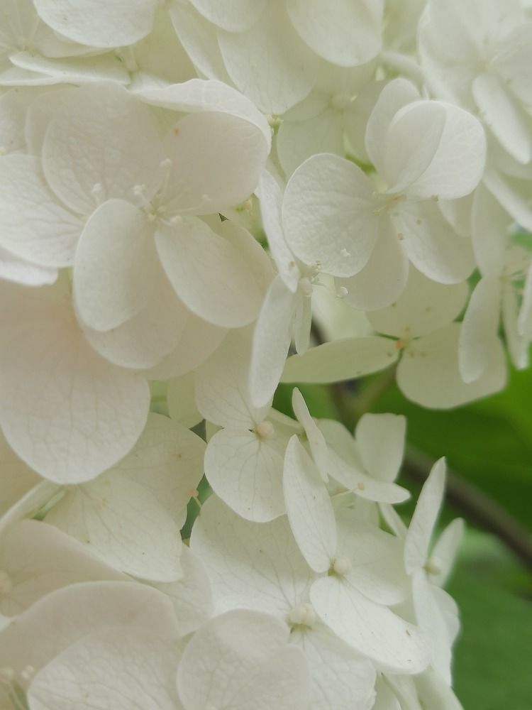 Photograph by Ольга