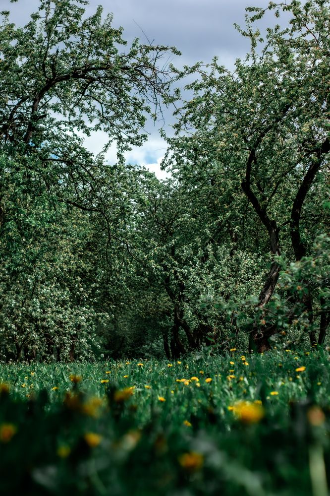 Photograph by Сергей Аникушин