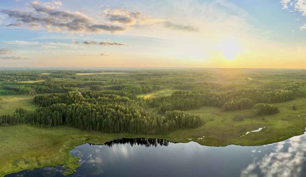 Photograph by Максим Григорьев