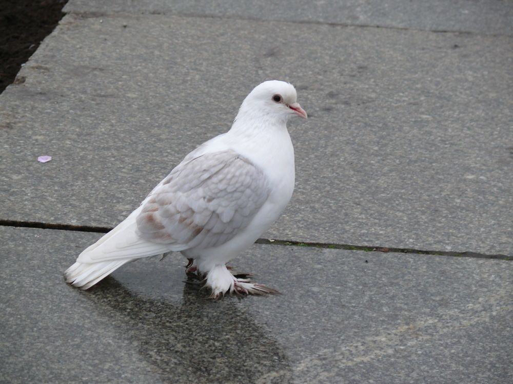 Фотография автора Клавдия Васильева