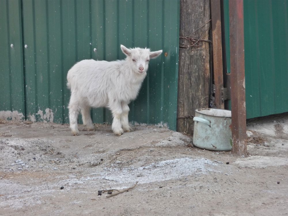 Фотография автора Клавдия Васильева