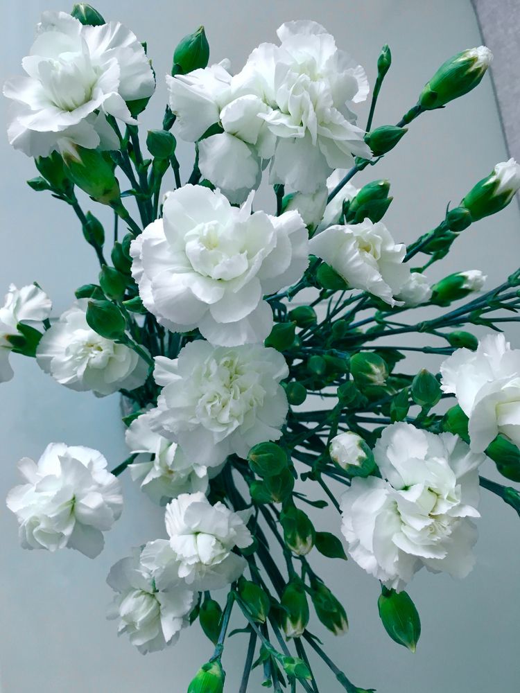 Photograph by Елена Макуха