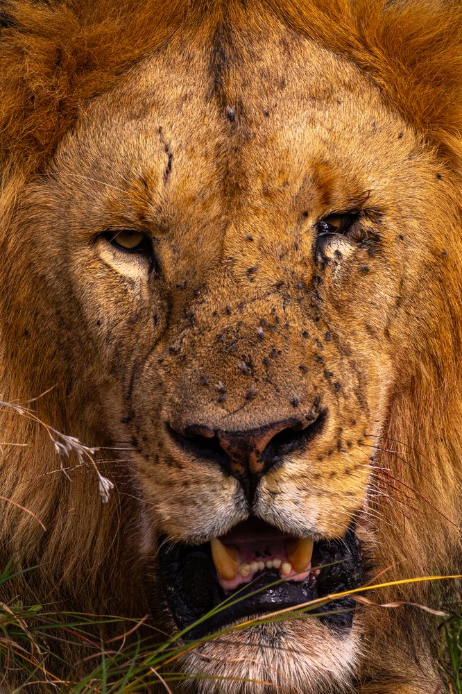 Photograph by Сергей Гук