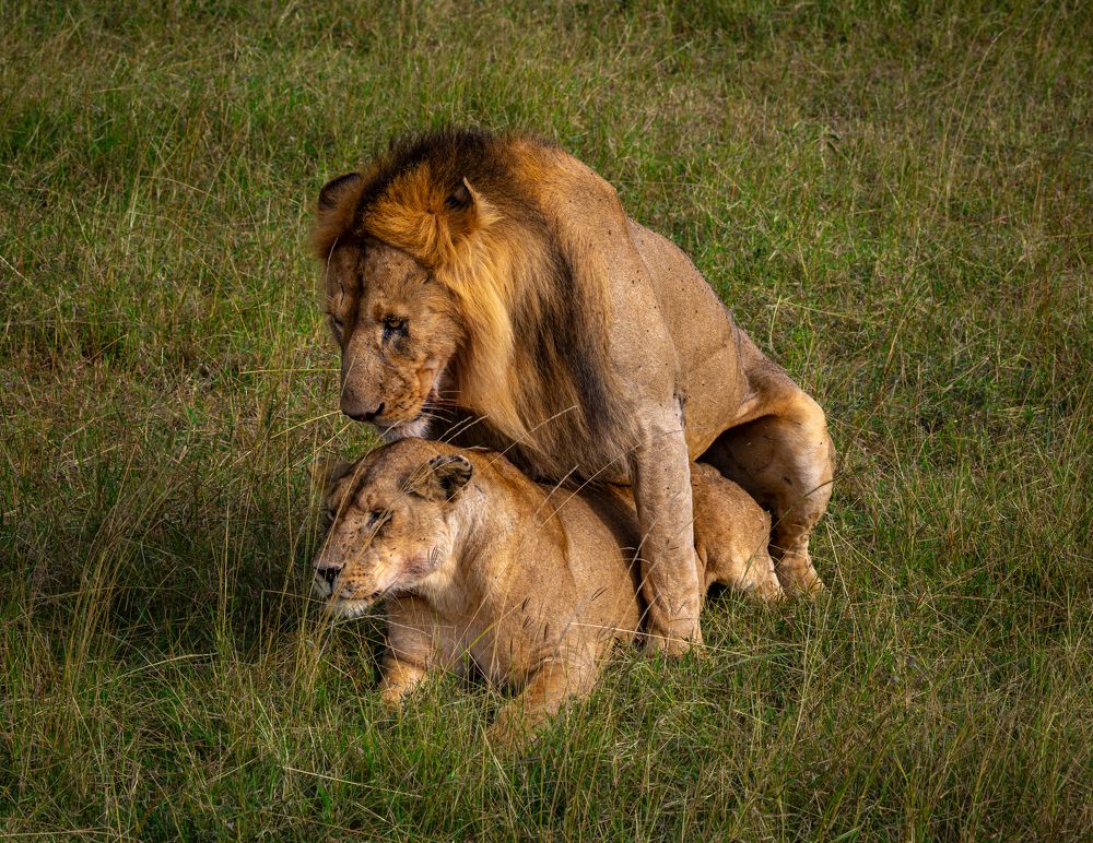 Photograph by Сергей Гук