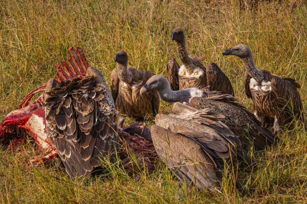 Photograph by Сергей Гук