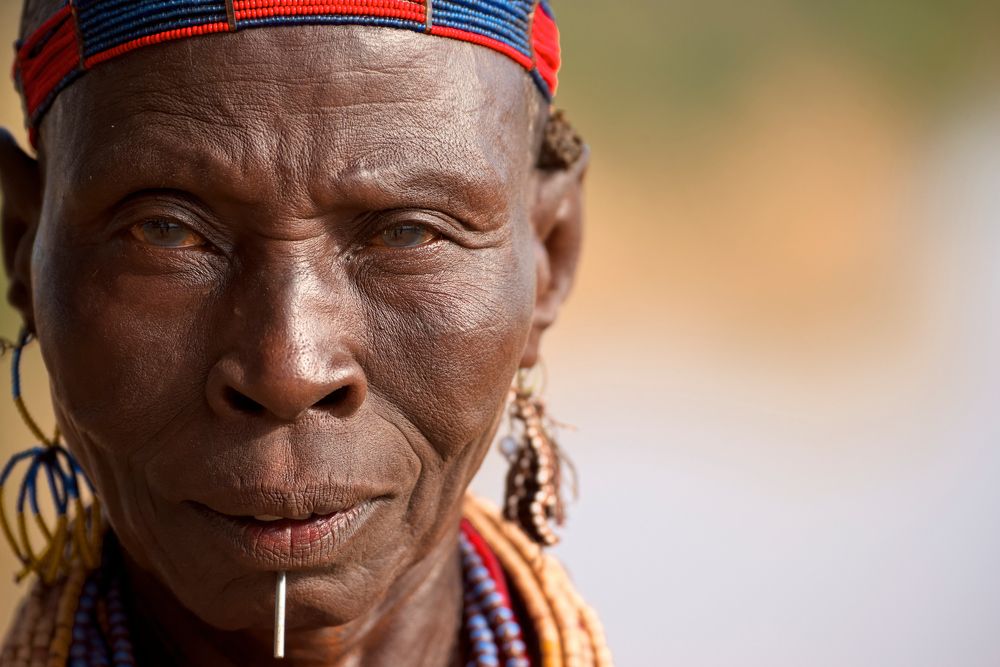 Зри в нутро!