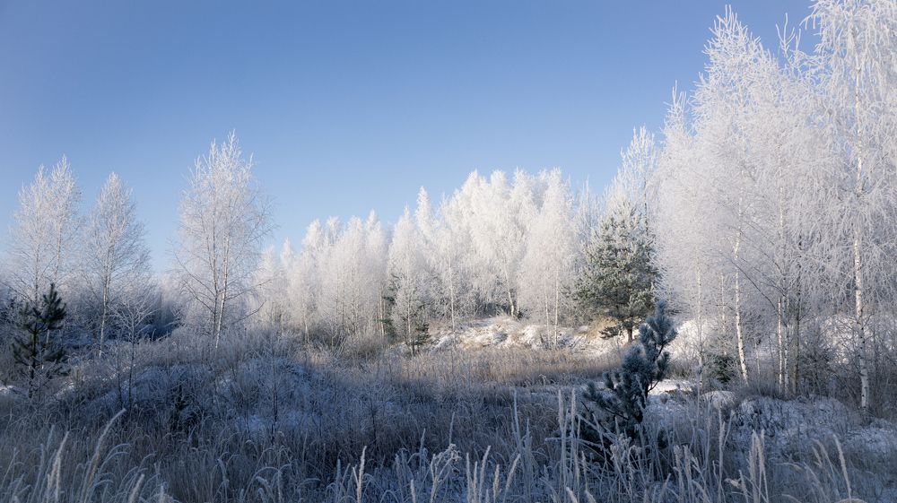 Photograph by Denis Romanov