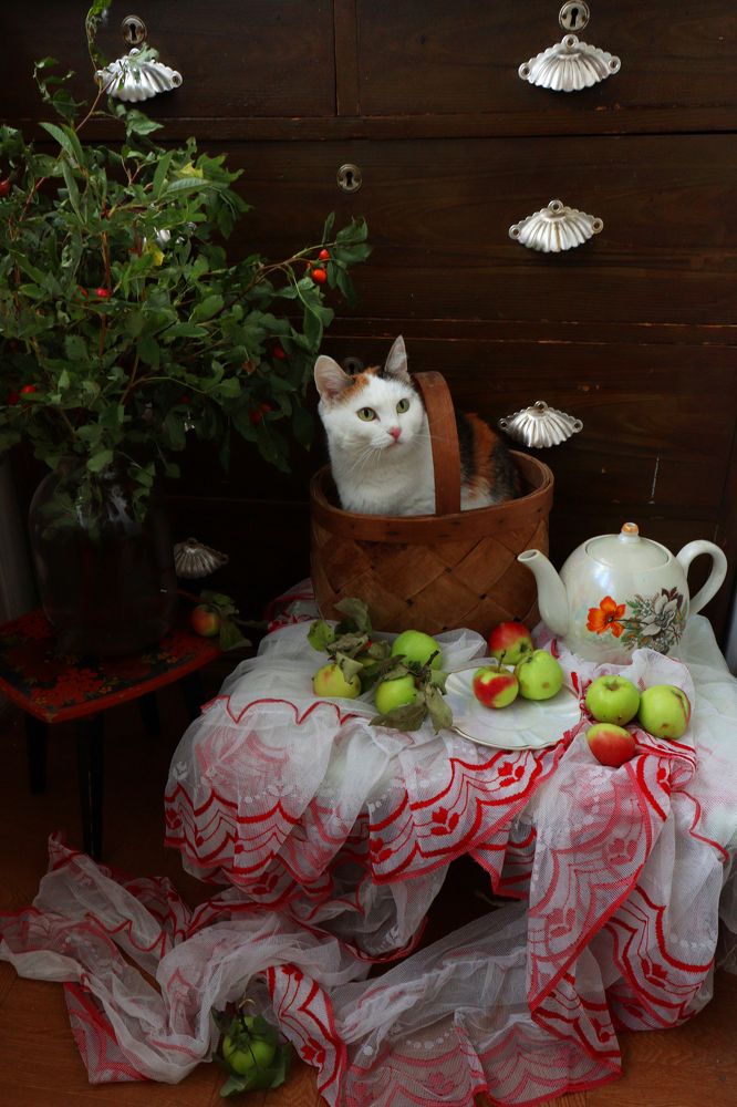 Photograph by Анна Горбунова