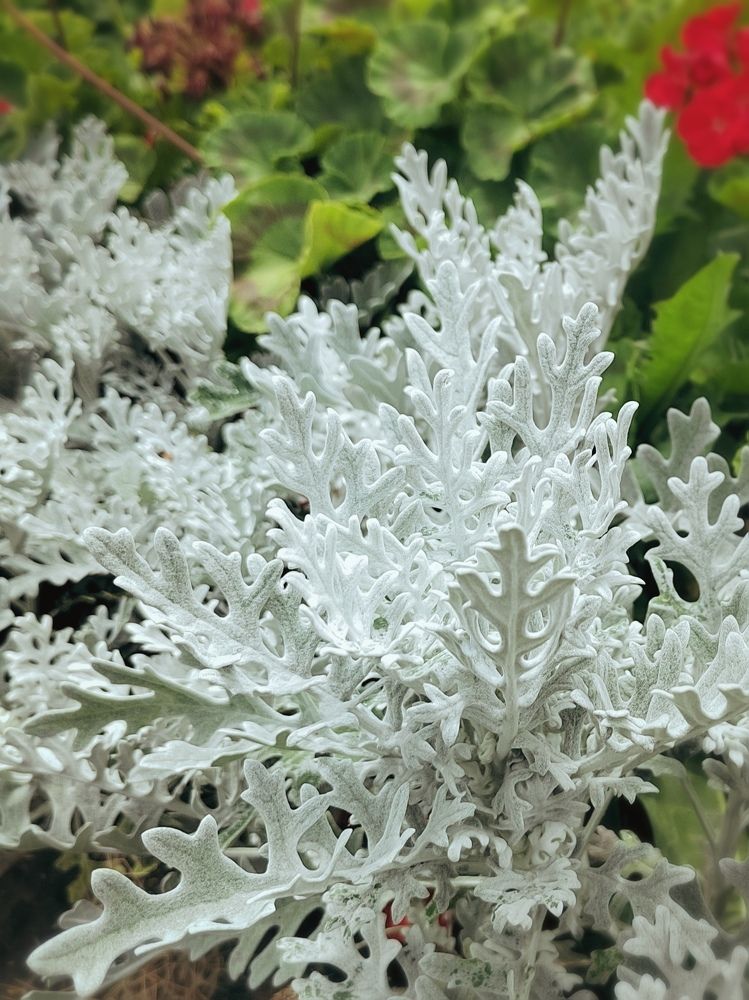 Photograph by Елизавета