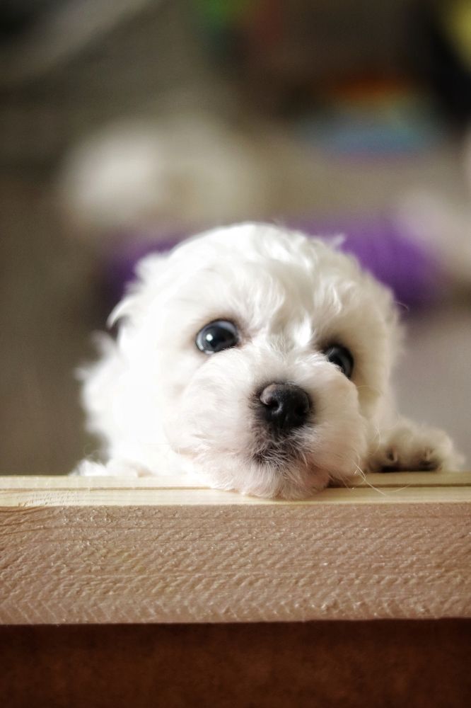 Photograph by Ольга Дегтярёва