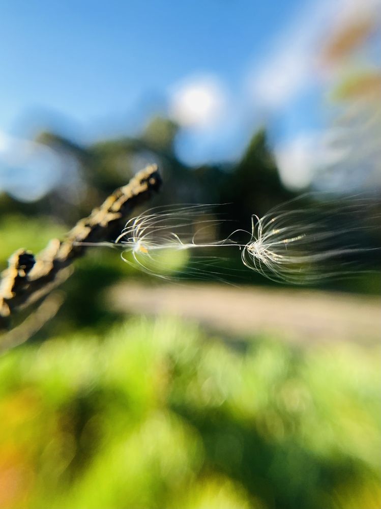 Photograph by Виктория Ярина