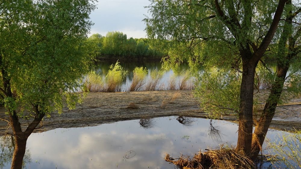 Photograph by Блюмина Елена