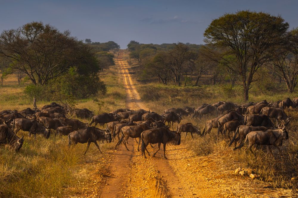 Photograph by Сергей Гук