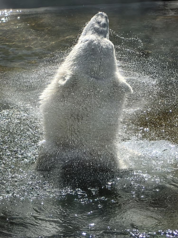 Photograph by Елена Акимова