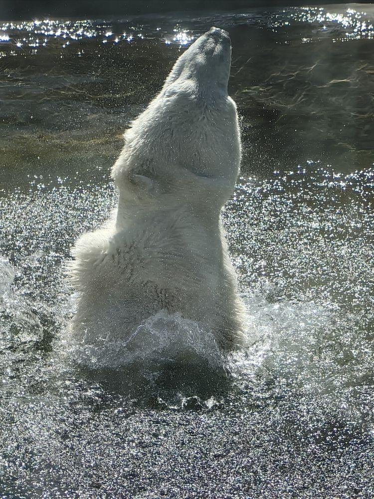 Photograph by Елена Акимова