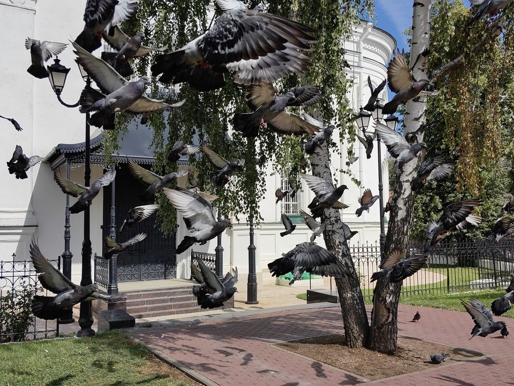 Photograph by Елена Акимова