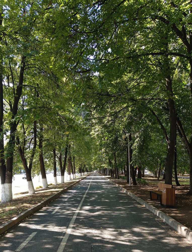 Photograph by Рина Хуртова