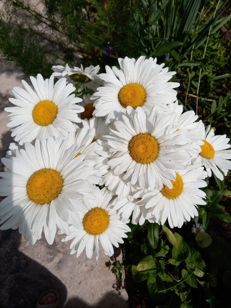 Photograph by Татьяна Пальчикова