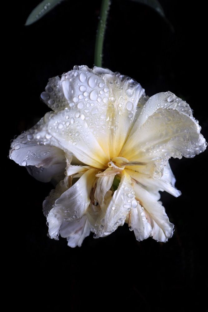 Photograph by Людмила Евстратова