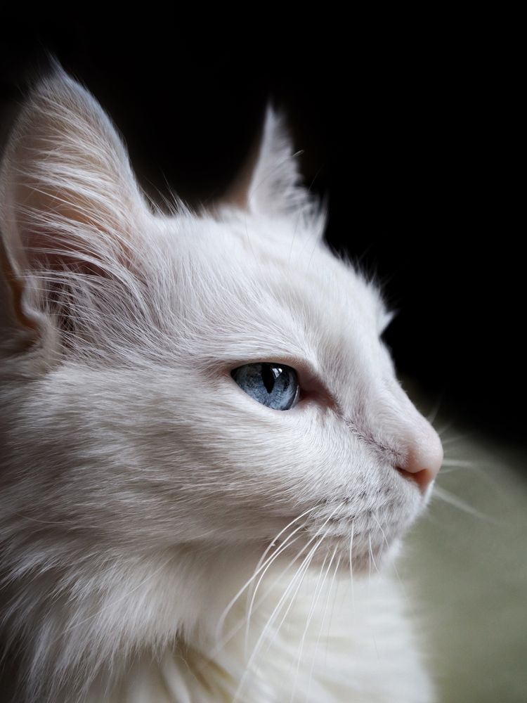 Photograph by Людмила Евстратова