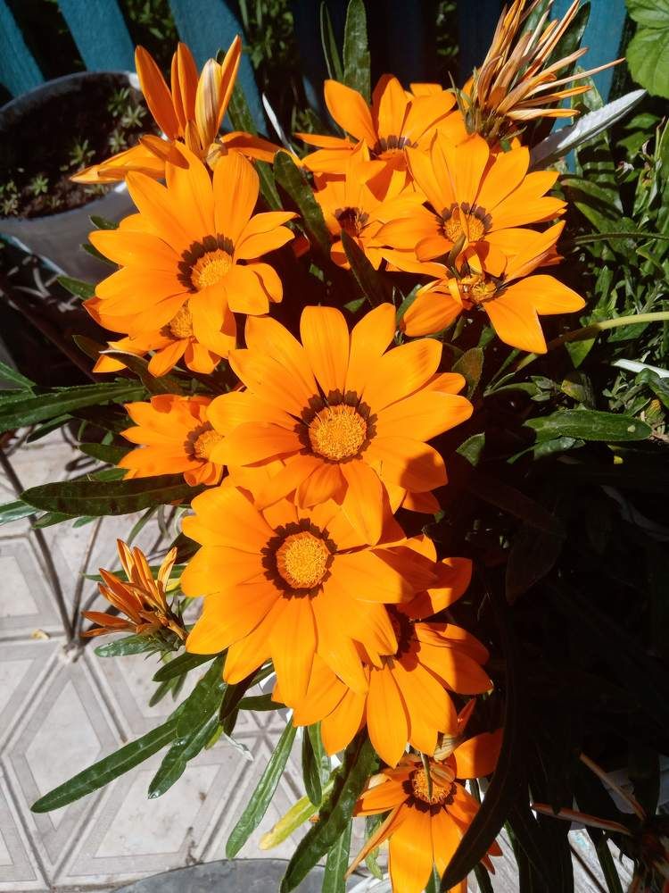 Photograph by Татьяна Пальчикова