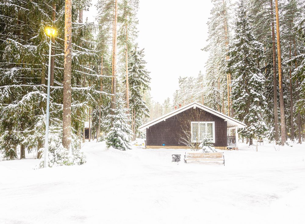 Photograph by Андрей Жуков