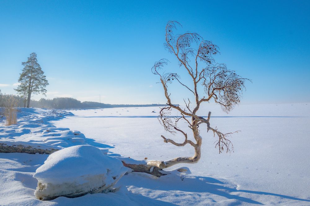 Photograph by Андрей Жуков