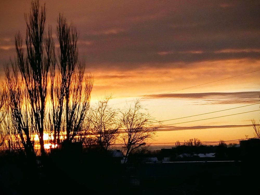 Photograph by Татьяна Пальчикова