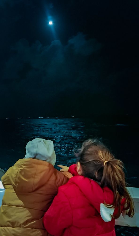 Photograph by Nehad Mahgoub