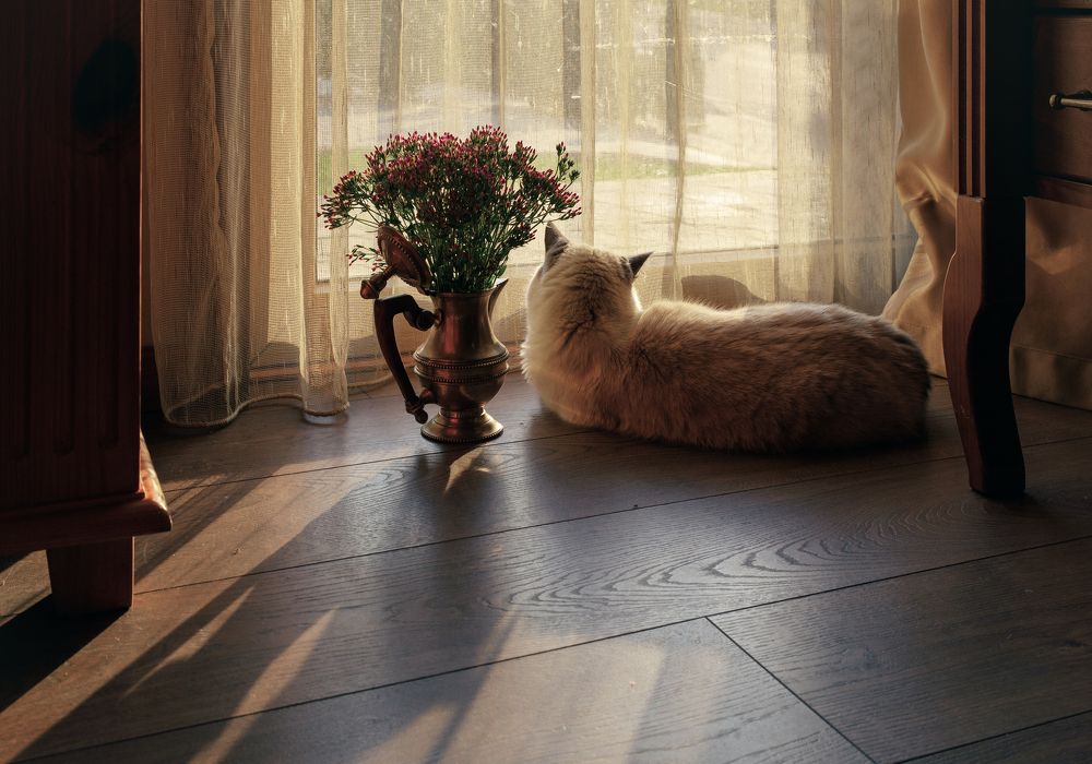 Photograph by Taтьяна Войлокова