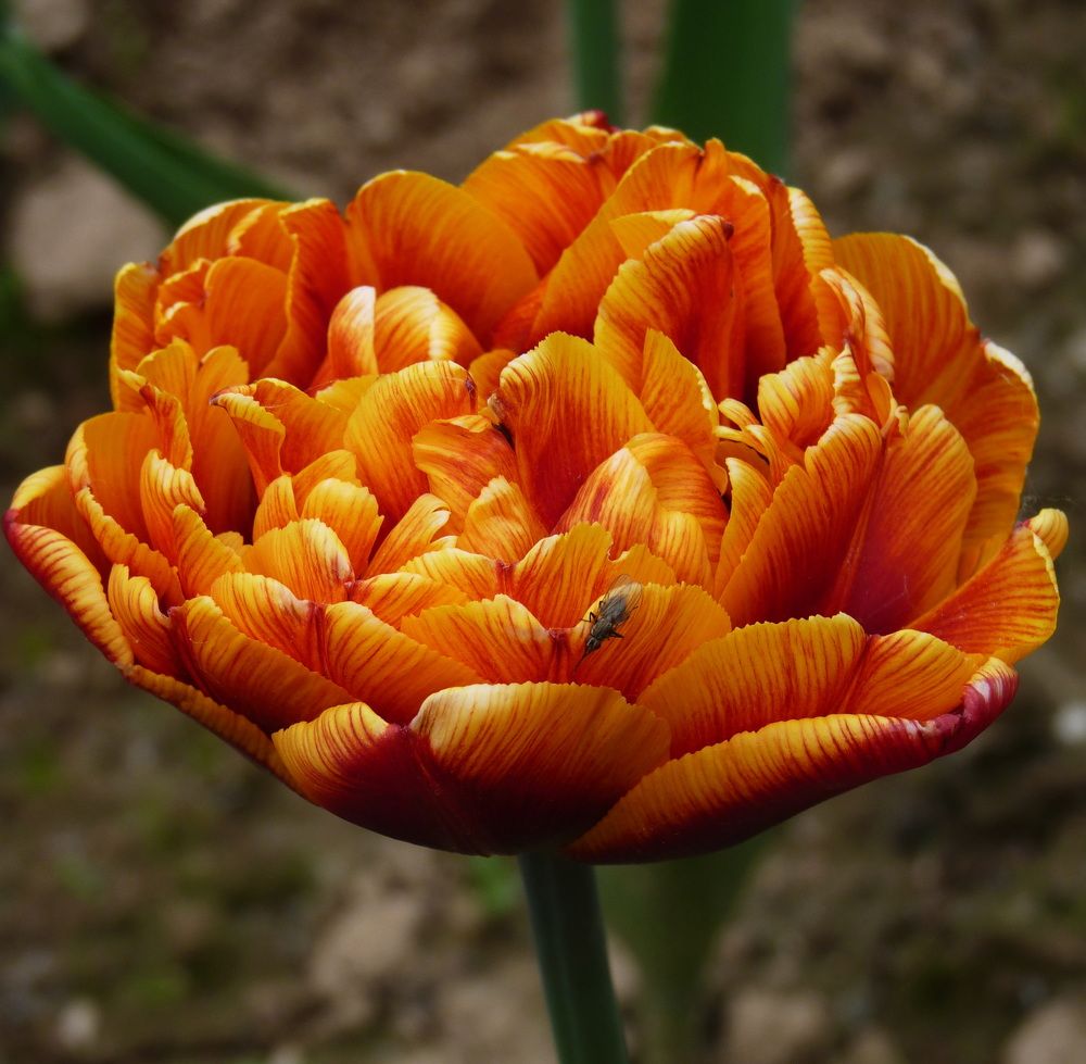 Photograph by Galina Leskova