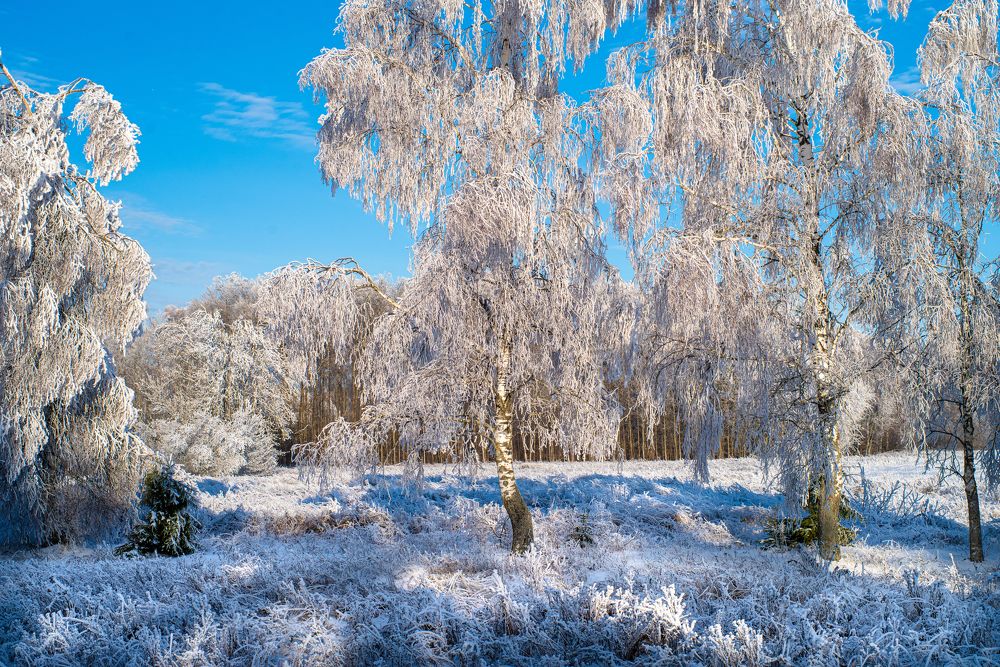 Photograph by Александр Трошин
