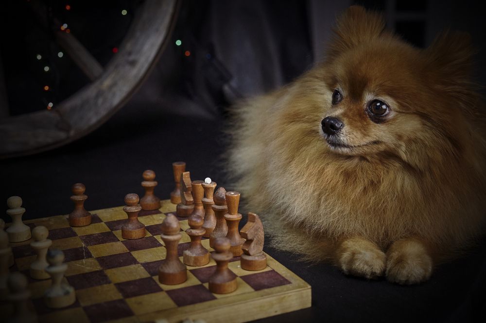 Photograph by Марина Вильдяева