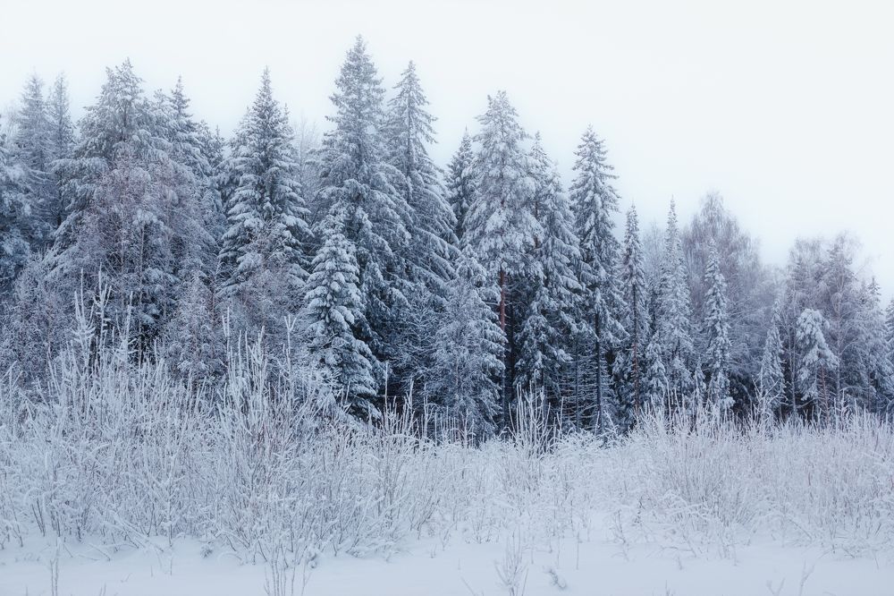 Фотография автора Котов Андрей