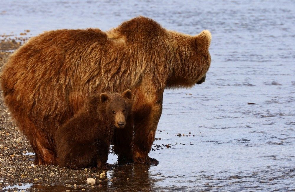 Photograph by Диана Жагрина